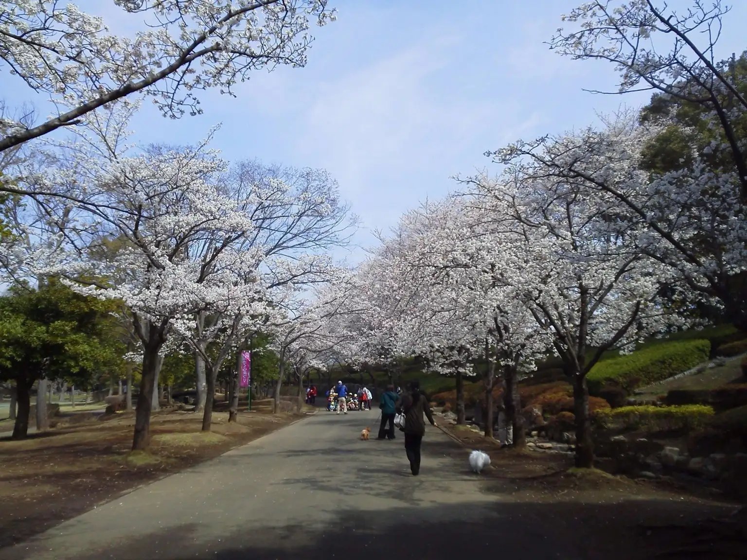 🌳 아게오 마루야마 공원 이미지 5